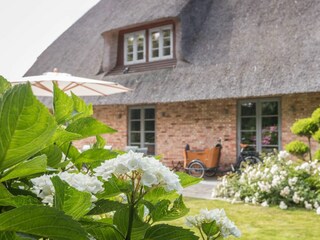 Gartenblick