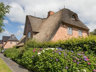 Hauptansicht
