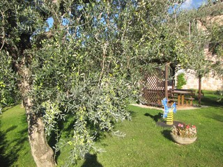 Appartamento per vacanze Brenzone sul Garda Registrazione all'aperto 5