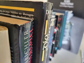 Villa Brenzone sul Garda Caratteristiche 22