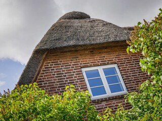 Gartenblick