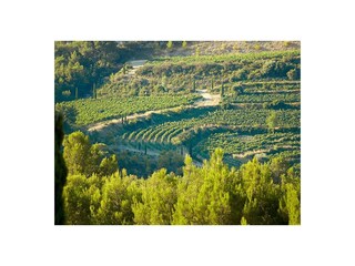 route des vins