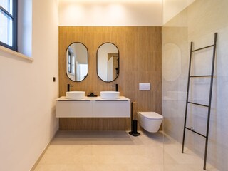 Villa Loborika Caratteristiche 21