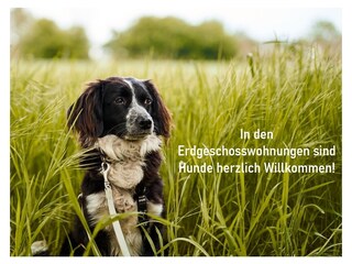 Hunde sind in diesem Apartment herzlich Willkommen