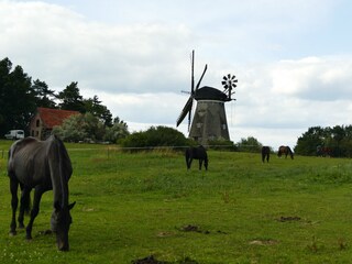 Mühlenberg