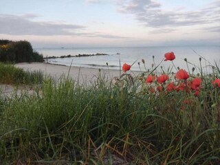 Maison de vacances Woudsend Environnement 25