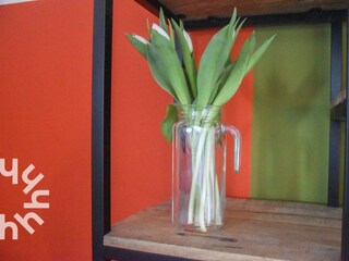 Apartment Westkapelle Features 6