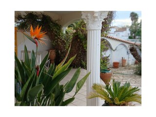 Villa Roses Außenaufnahme 14