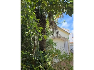 Vorgarten mit Garage