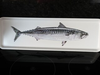 Apartamento de vacaciones Scharbeutz Características 12