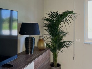 bedroom behind glass walls or second living room