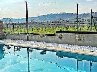 Glaszaun zum Weingarten