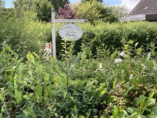 Cottage Steinbergkirche Outdoor Recording 6