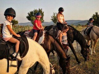 Holiday house Proložac Environment 43