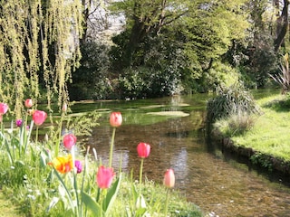 Blick vom Schlossgarten auf den Fluss