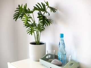 Appartement Caramujeira  31