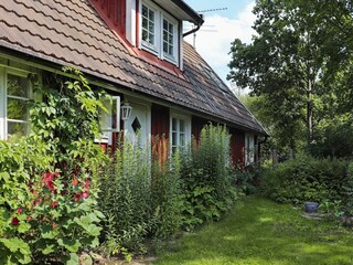 Ferienhaus Örkelljunga Außenaufnahme 6