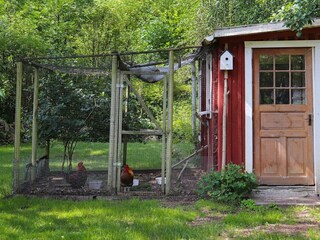 Ferienhaus Örkelljunga Außenaufnahme 5