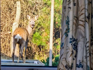 Ferienhaus Vorupør Außenaufnahme 2