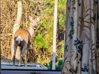 Casa de vacaciones Vorupør Grabación al aire libre 2