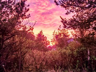 Holiday house Vorupør Outdoor Recording 1