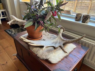 Vakantiehuis Nynäshamn  25