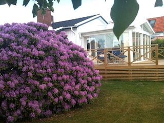 Ferienhaus Vejbystrand Außenaufnahme 15