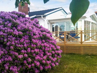 Holiday house Vejbystrand Outdoor Recording 8