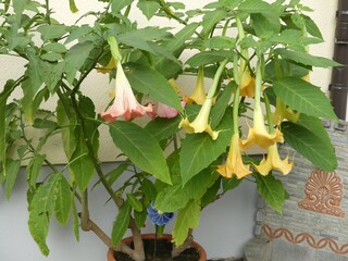 Appartamento per vacanze Schlitters Ambiente 31