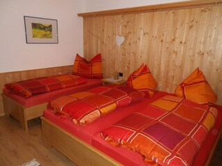 Appartamento per vacanze Schlitters Caratteristiche 20