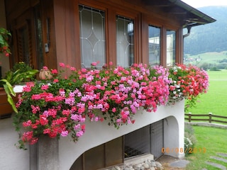 Holiday apartment Schlitters Outdoor Recording 3