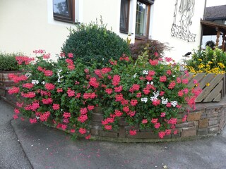 Appartamento per vacanze Schlitters Caratteristiche 24