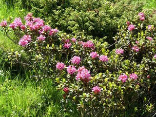 Appartamento per vacanze Schlitters Caratteristiche 25