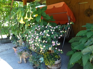 Holiday apartment Schlitters Outdoor Recording 5