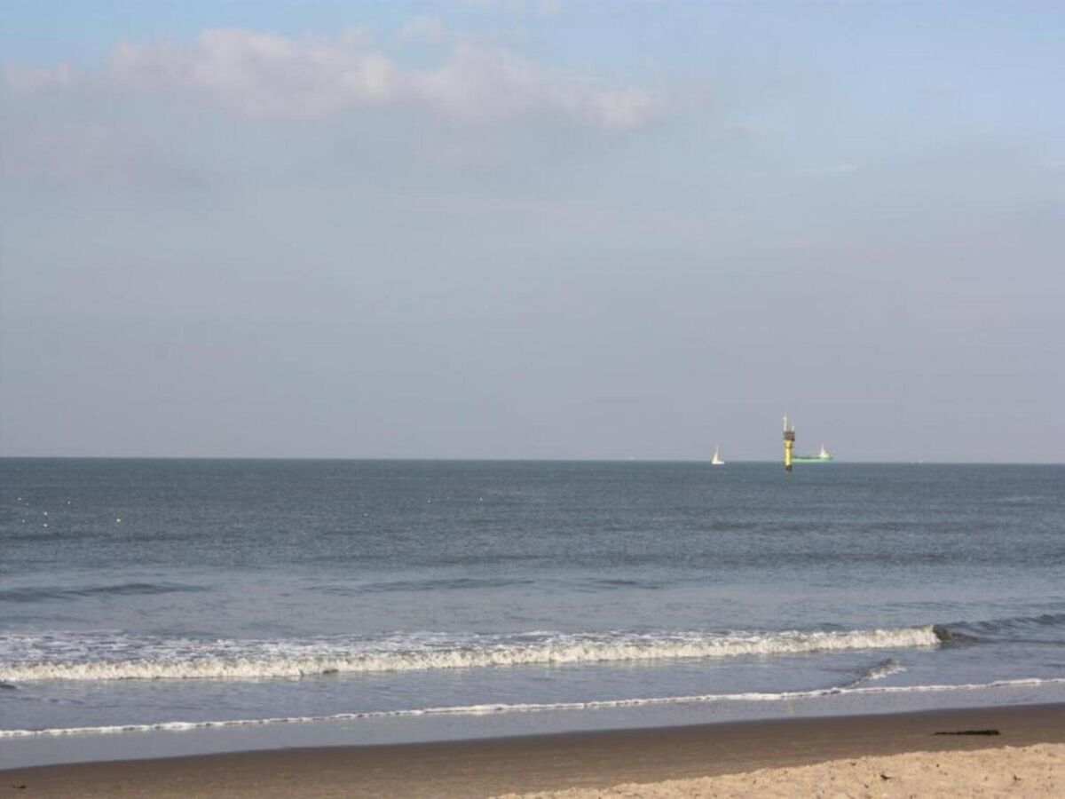 Appartement Knokke-Heist Environnement 29