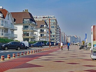 Apartment Knokke-Heist Environment 15