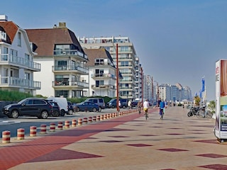 Apartment Knokke-Heist Umgebung 15