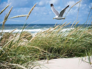 Apartment Knokke-Heist  20