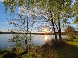 Abendstimmung am See