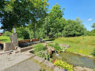 Kneippbecken im Kurpark