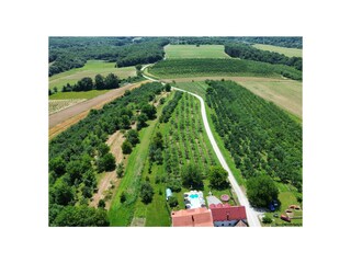 Villa Mittelholstein Buitenaudio-opname 3