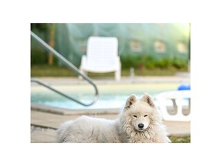 Villa Mittelholstein  25