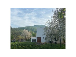 Villa Matulji Buitenaudio-opname 6