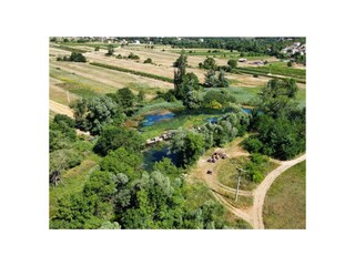 Villa Krivodol (Podbablje)  29