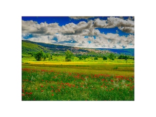 Villa Krivodol (Podbablje)  31