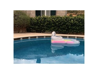 Villa Orasac Registrazione all'aperto 5