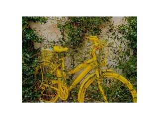 Villa Orasac Ambiente 18