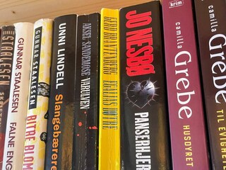 Holiday house Hemsedal  17