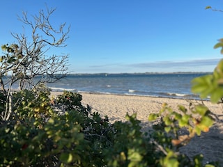 Naturstrand, vor der Kulisse der dänischen Küste.