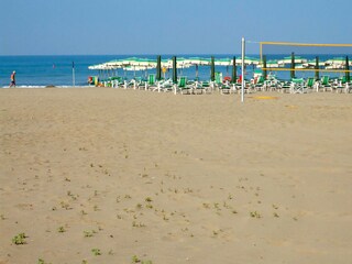 Villa Marina di Grosseto Environment 38